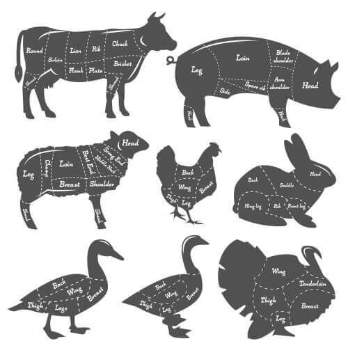 Vintage diagram of meal cutting of animals